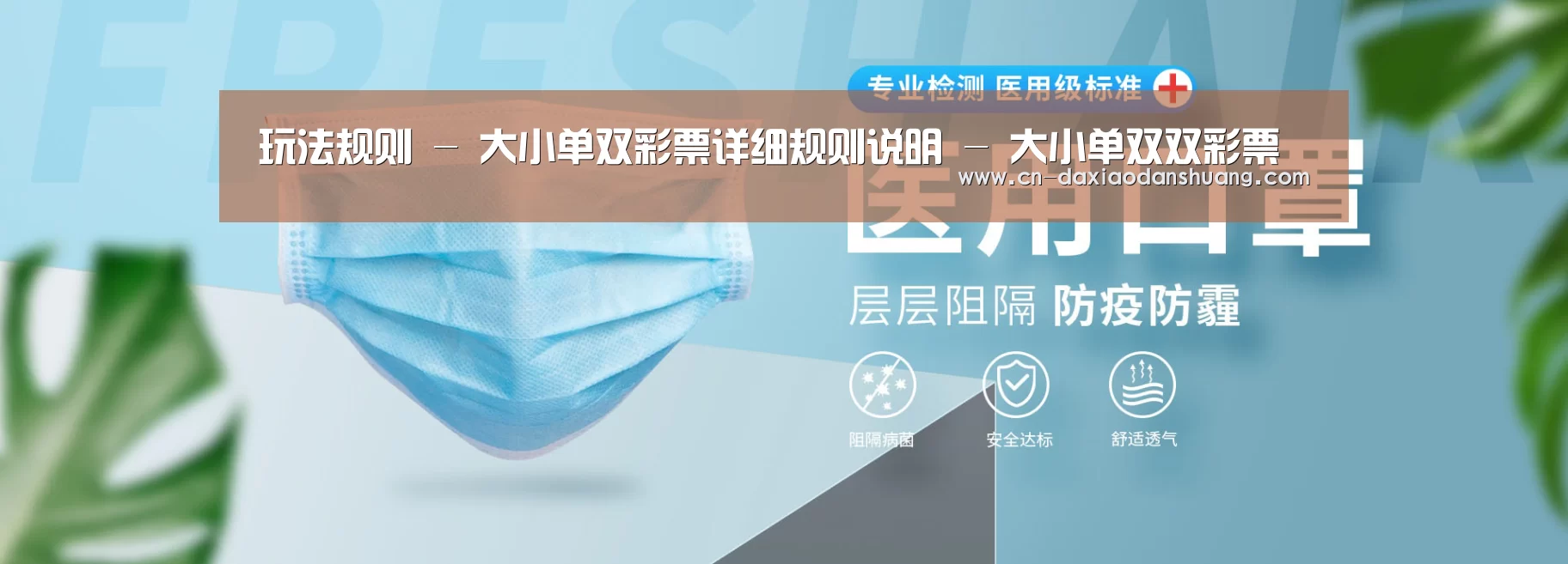 某某口罩防护用品有限公司