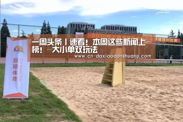 大小单双投注